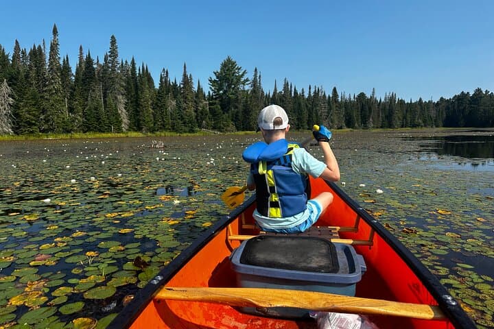 Algonquin Park 3-Day Deluxe Canoe & Backcountry Camping Adventure
