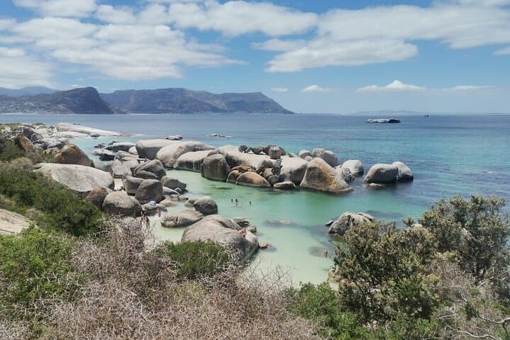 Cape Peninsula Tour — Cape Point, Chapman's Peak & Boulders Penguin Colony photo 2