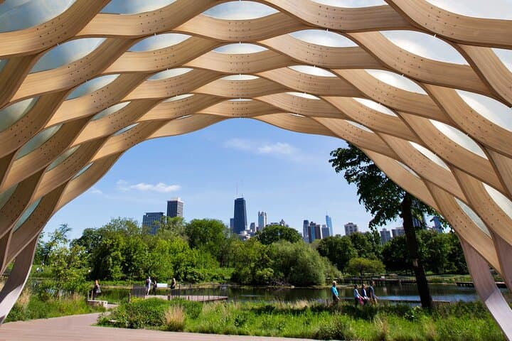 Chicago City Tours: See It All Without Wasting a Minute photo 6