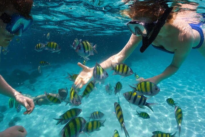 Miami to Key West Day Trip Across the Overseas Highway with Water Activity Options photo 2