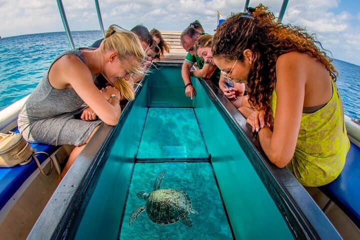 Miami to Key West Day Trip Across the Overseas Highway with Water Activity Options photo 6