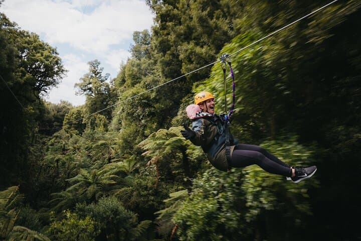 Soar the Ancient Canopy: Rotorua’s 2.5-Hour Native Forest Zipline Adventure