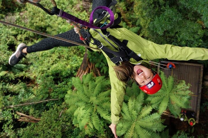Rotorua Ultimate Zipline Canopy Adventure: 6 Ziplines & 400m Tandem photo 2