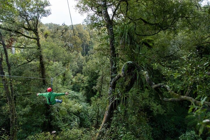 Rotorua Ultimate Zipline Canopy Adventure: 6 Ziplines & 400m Tandem photo 5