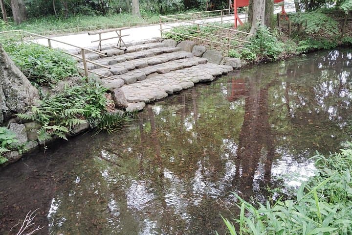 Shimogamo Shrine & Tadasu no Mori: 90-Minute Sacred Forest Walk in Kyoto photo 3
