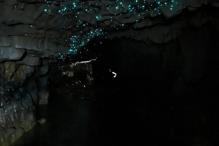 Waitomo Glowworm Cave Explorer from Hamilton — Small-Group Guided Tour photo 4