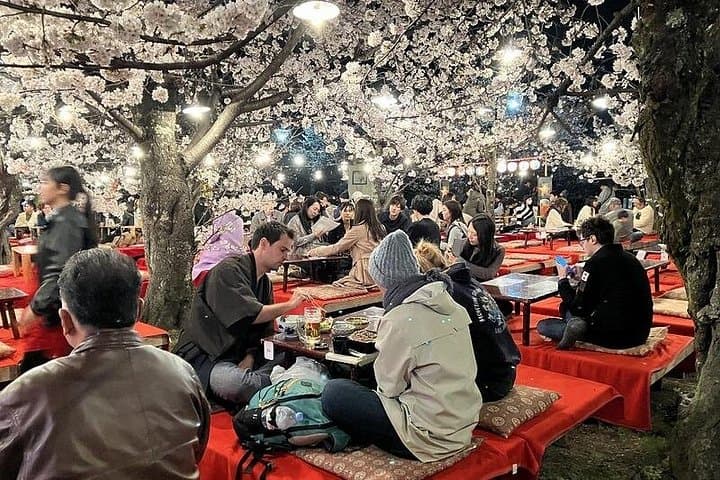 Private Osaka and Kyoto Full-Day Car Tour — Customized City Highlights photo 3