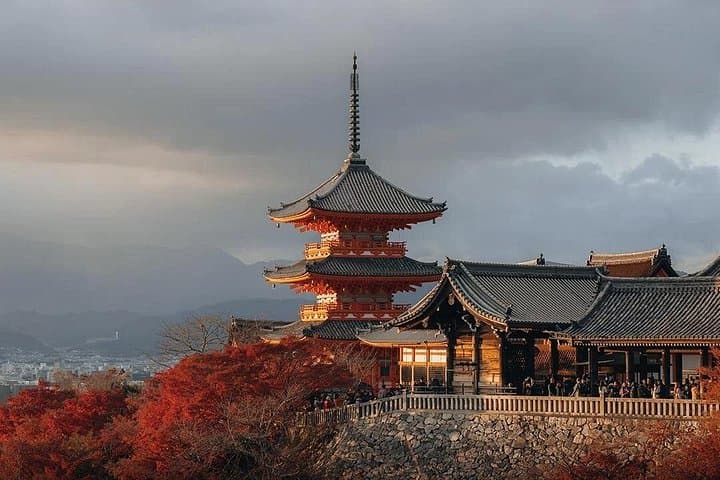 Private Osaka and Kyoto Full-Day Car Tour — Customized City Highlights photo 4