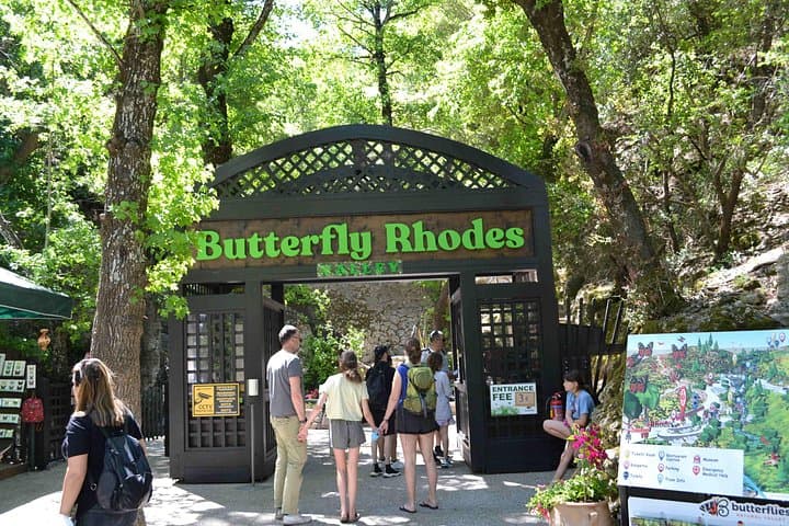 Afternoon Escape to Butterfly Valley (Petaloudes), Rhodes — Easy Nature Walk photo 1
