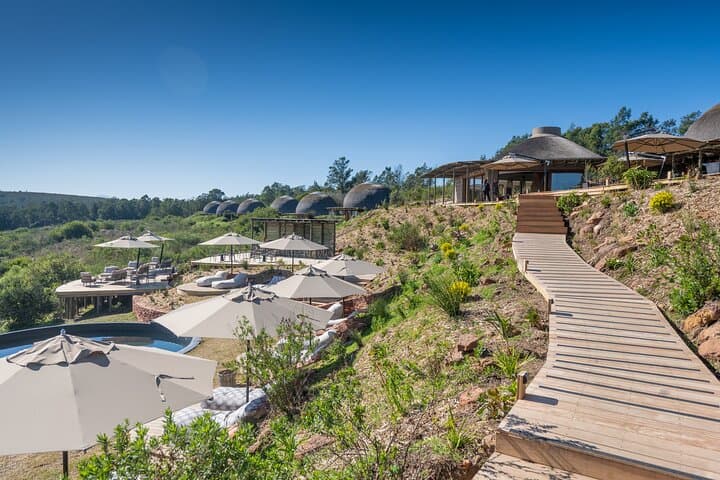 Gondwana Safari: 2-Night Luxury Game Reserve Escape from Cape Town photo 6