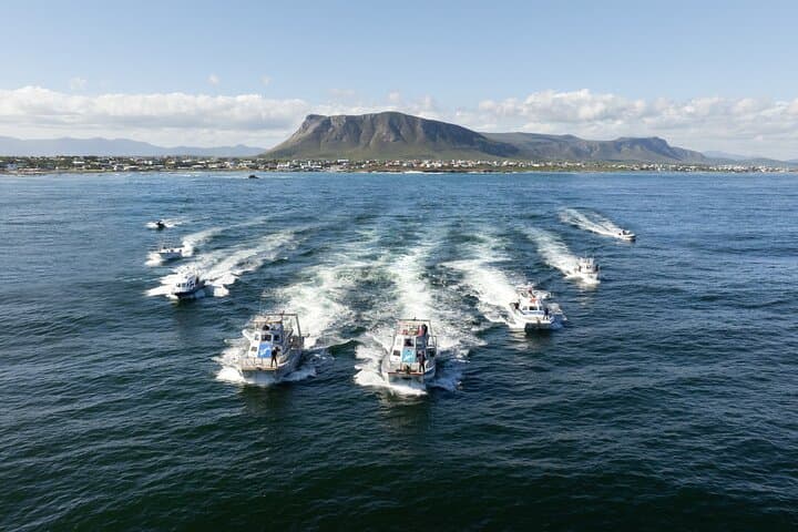 Shark Cage Diving in Gansbaai: Marine Dynamics Shark Alley Experience photo 5