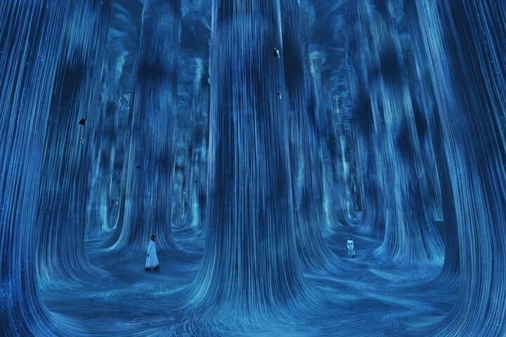 TeamLab Phenomena Abu Dhabi: Immersive Digital Art Experience on Saadiyat Island photo 4