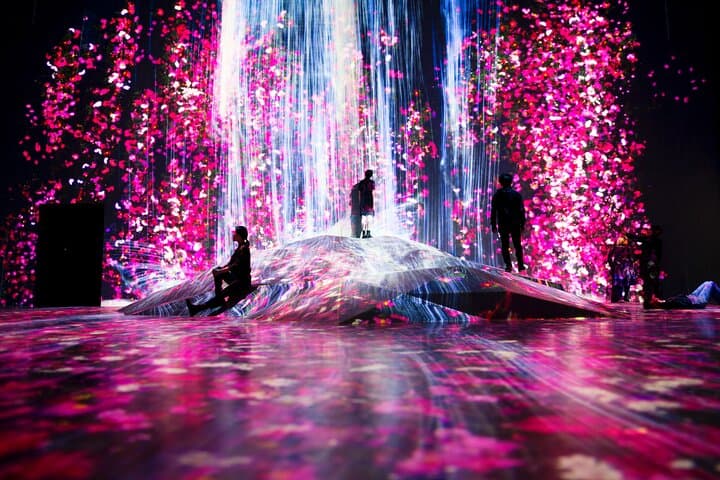 TeamLab Phenomena Abu Dhabi: Immersive Digital Art Experience on Saadiyat Island