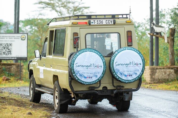 7-Day Luxury Safari: Serengeti, Ngorongoro & Tarangire Wildlife Adventure photo 3