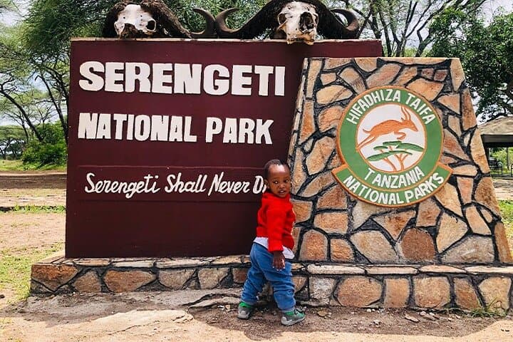 7-Day Luxury Safari: Serengeti, Ngorongoro & Tarangire Wildlife Adventure photo 5