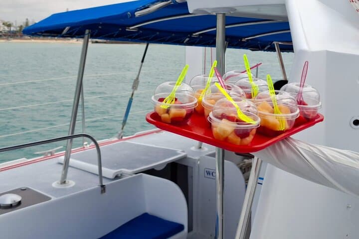 Catamaran Boat Tour in Djerba: Half-Day Sail, Swim & Dolphins photo 3