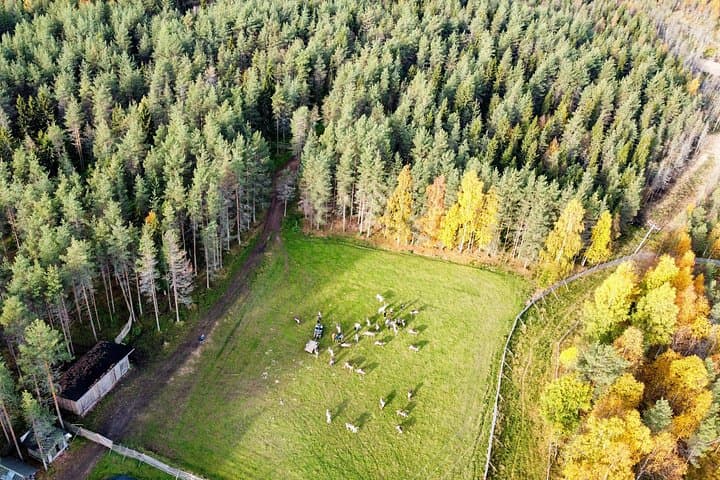 Reindeer Farm Visit and Canoe Trip Near Rovaniemi: A Lapland Nature Experience photo 4