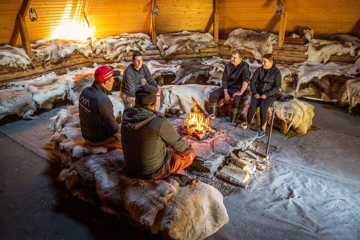 Reindeer Farm and Ranua Wildlife Park: Full-Day Arctic Wildlife Experience from Rovaniemi photo 6