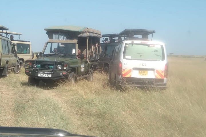 Discover Wildlife at Nairobi National Park: Early Morning 5-Hour Game Drive Experience photo 2