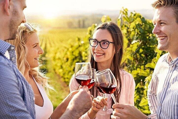 Full-Day Private Krka Waterfalls and Wine Tour from Split photo 2