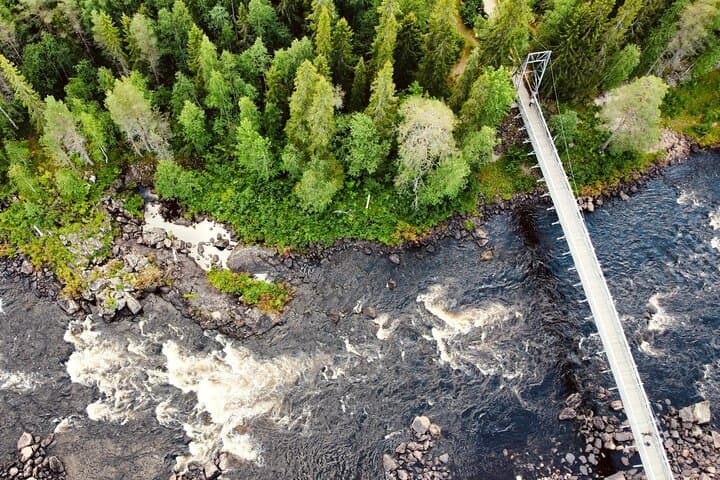Wilderness Survival Tour in Lapland: Taiga Skills, Midnight Sun & Ruska photo 2