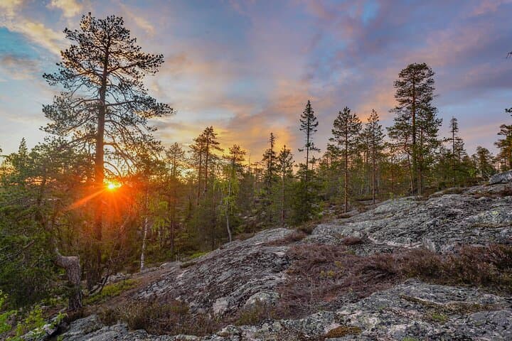 Wilderness Survival Tour in Lapland: Taiga Skills, Midnight Sun & Ruska photo 4