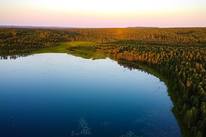 Wilderness Survival Tour in Lapland: Taiga Skills, Midnight Sun & Ruska photo 5
