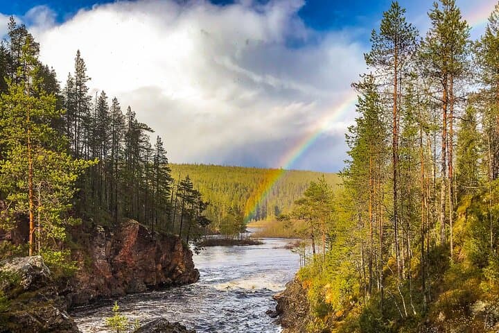 Wilderness Survival Tour in Lapland: Taiga Skills, Midnight Sun & Ruska