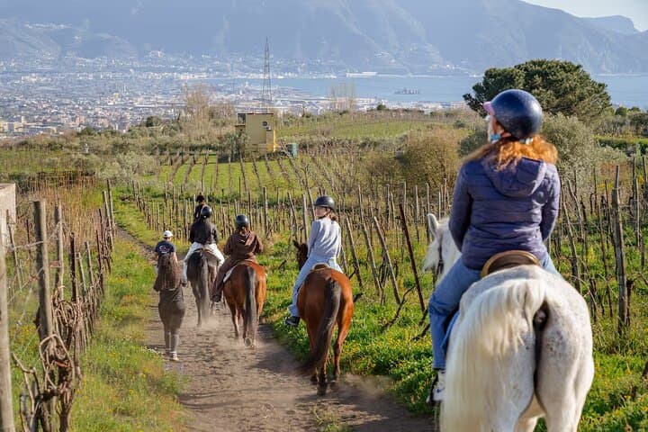 Horseback Riding on Vesuvius: Volcanic Trails Above the Bay of Sorrento