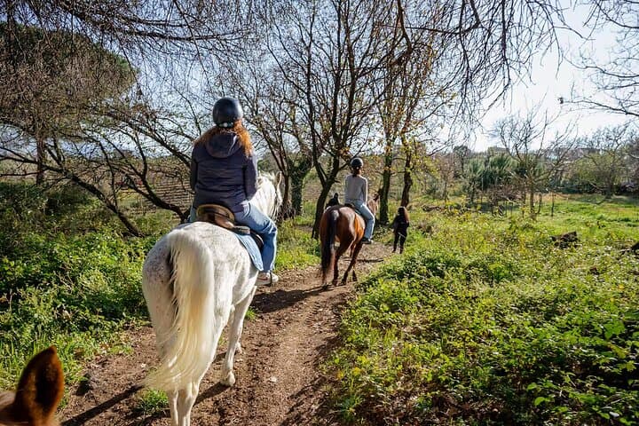 Pompeii Guided Tour & Horse Riding on Vesuvius — Ruins, Vineyards & Wine photo 3