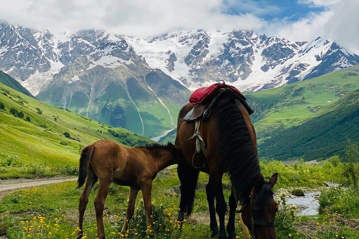 Blind Spots Picnic: Offbeat Day Trip Near Tbilisi photo 6