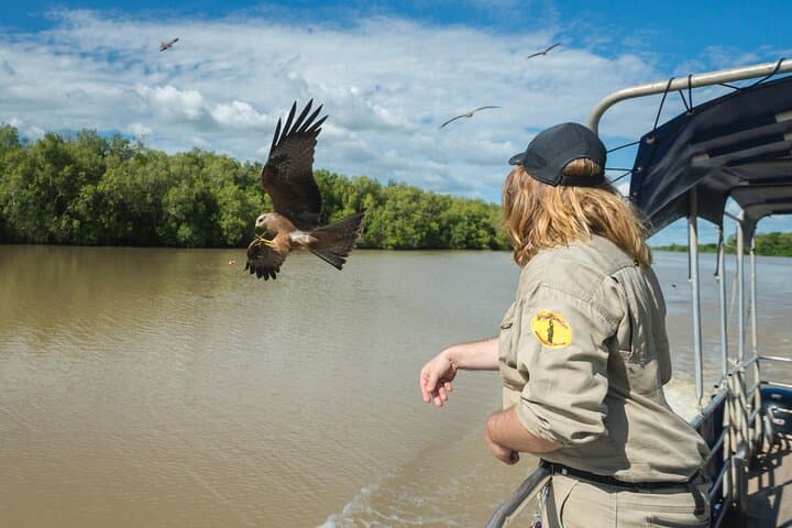 Adelaide River Crocodile Jumping Cruise — Darwin Wetlands Wildlife Experience photo 4