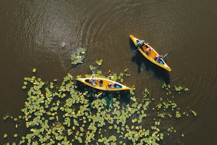 Canoe Trip in Lapland — Summer Canoeing from Rovaniemi