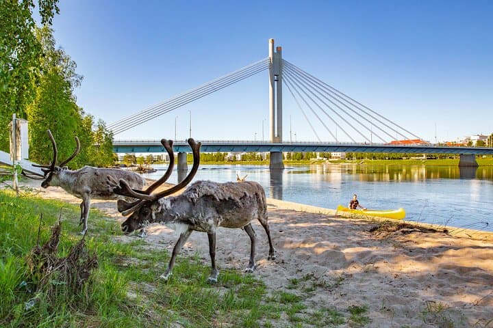 Canoe Rovaniemi’s Rivers: Cultural Paddle & Local Heritage Museum Visit photo 3