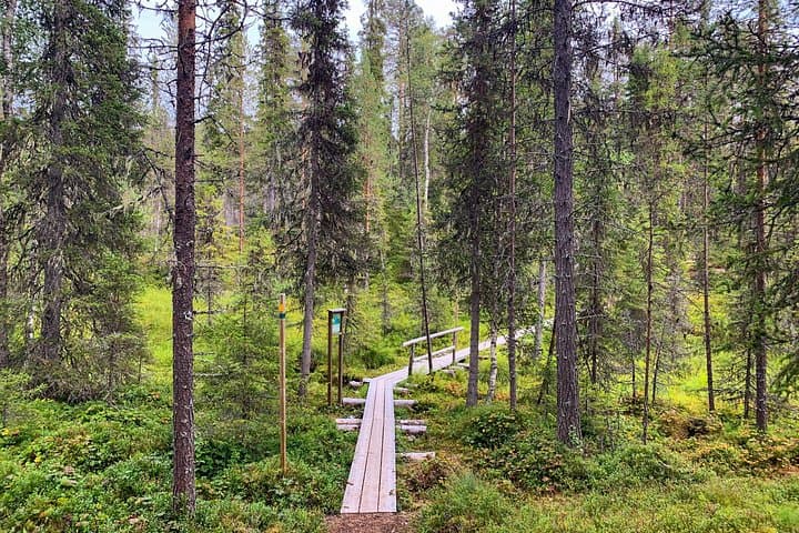 Korouoma Canyon Wilderness Hike — Arctic Gorge Day Hike from Rovaniemi photo 3
