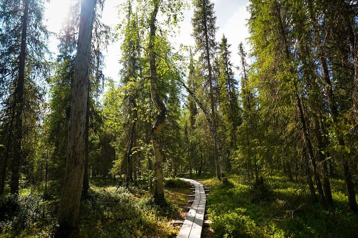 Auttikongas Wilderness Hike from Rovaniemi — Waterfall Trails in Lapland photo 6