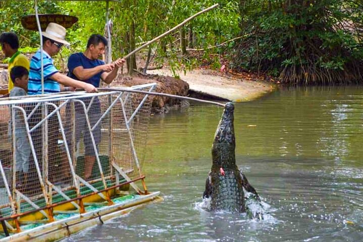 Can Gio Mangrove & Monkey Island Day Trip from Ho Chi Minh: Boat Ride, Wildlife & War History photo 4