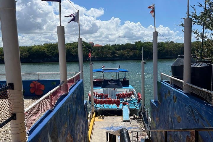 Catalina Island Snorkel from Bayahibe — Half-Day Caribbean Reef Adventure photo 3
