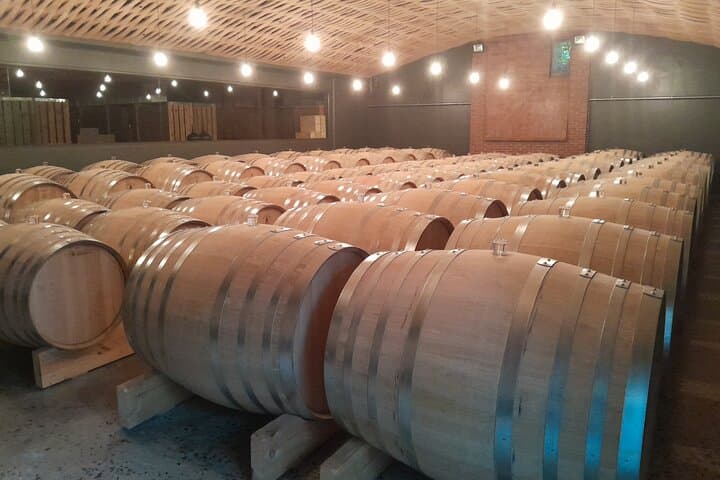 Private Cape Winelands Wine Tasting with Optional Giraffe and Cheetah Visits photo 2
