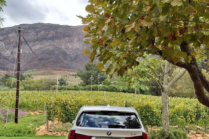 Private Cape Winelands Wine Tasting with Optional Giraffe and Cheetah Visits photo 5