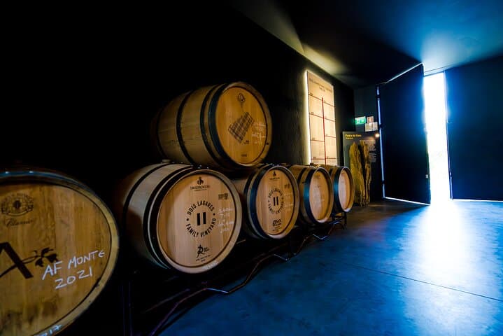 Douro Valley Private Wine Tour: A Scenic Day Among Terraced Vines and Port photo 4