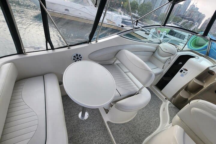 Exploring Chicago from Water: Private Boat Tours on the Chicago River and Lake Michigan photo 5