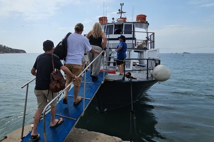 Sail to Formentera: Paella, Snorkel & Beach Day from Ibiza photo 5