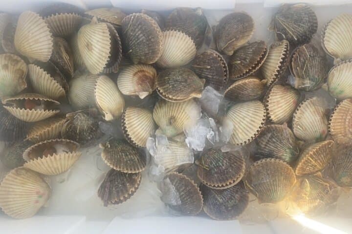 Ultimate Private Scalloping Adventure in Crystal River: Explore Florida’s Underwater Playground photo 4
