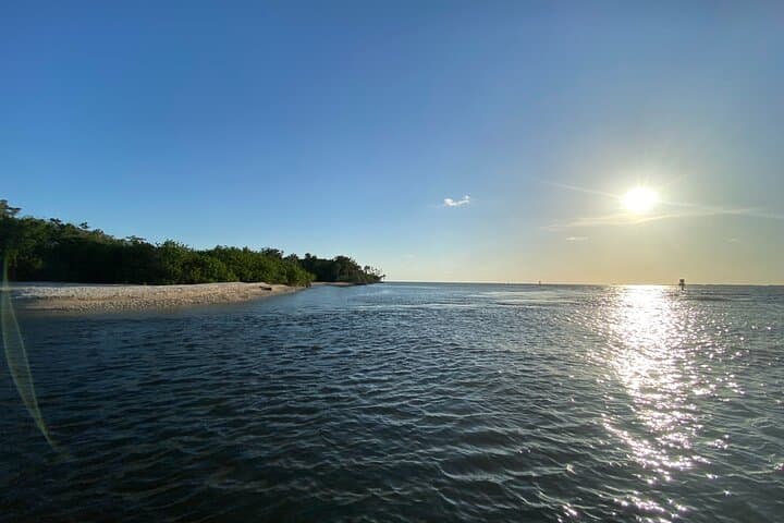 Ultimate Private Scalloping Adventure in Crystal River: Explore Florida’s Underwater Playground photo 5