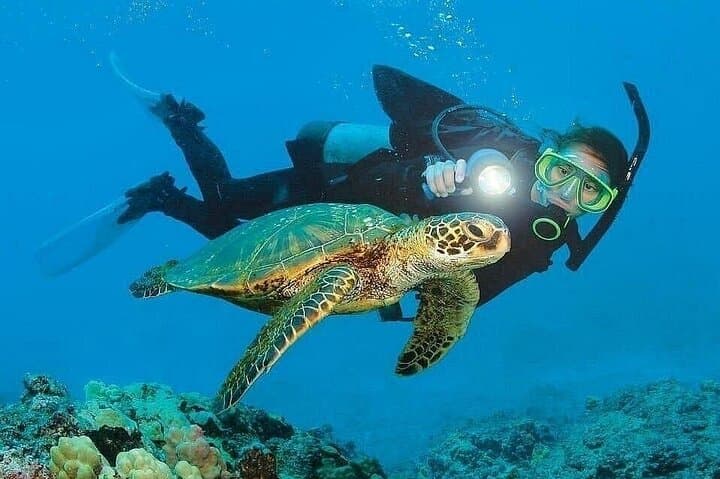 Kemer Scuba Diving and Snorkeling Trip — Day Boat Dives & Beginner Training