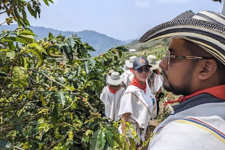 Horseback Riding and Coffee Farm Tour from Medellín: Ride, Roast, Taste photo 2