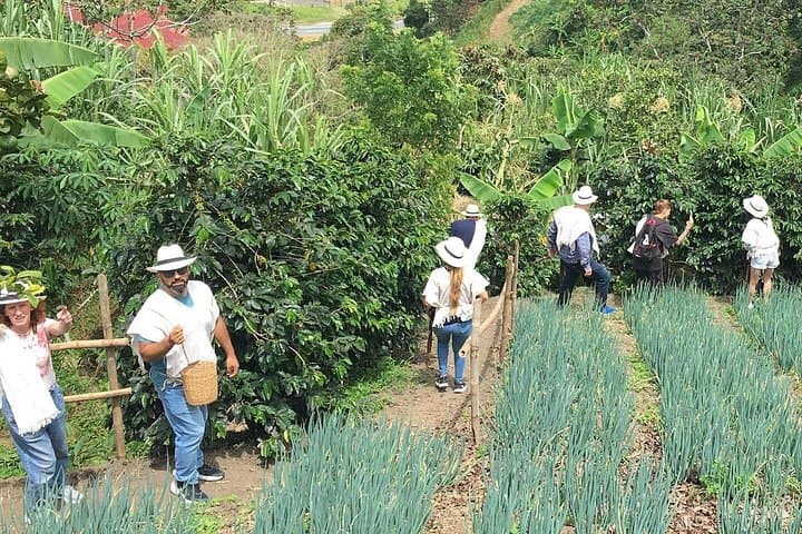 Horseback Riding and Coffee Farm Tour from Medellín: Ride, Roast, Taste photo 3