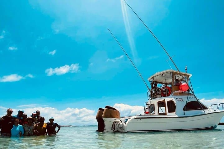 6-Day Galapagos Adventure: Snorkel Kicker Rock, Meet Giant Tortoises & Explore Twin Craters photo 4