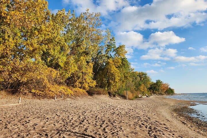 Harbourfront to Toronto Islands: Budget-Friendly Bike Tour Guide photo 3
